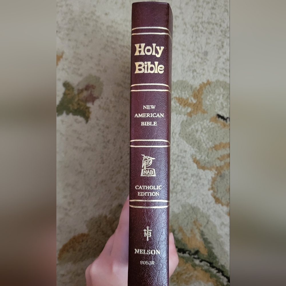 New American Bible Gift and Study Bible NIB - Picture 5 of 6